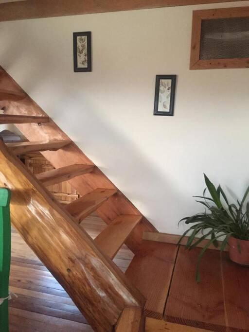 厄尔查尔坦La Joaquina, Casa De Montana.别墅 外观 照片